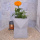 Design Blumentopf "Heidi" aus Beton in grau