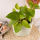 Blumentopf "Prismo Mint" Beton Ø19cm | Deko-Topf Pflanztopf Vase Zimmerpflanze