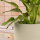 Blumentopf "Pillar Mint" Beton Ø14cm | Deko-Topf Pflanztopf Vase Zimmerpflanze