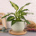 Blumentopf "Stylo Mint" Beton Ø15cm | Deko-Topf Pflanztopf Vase Zimmerpflanze